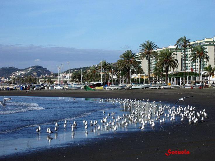 Apartamento El Bambu Cerca Del Mar Málaga Exteriör bild